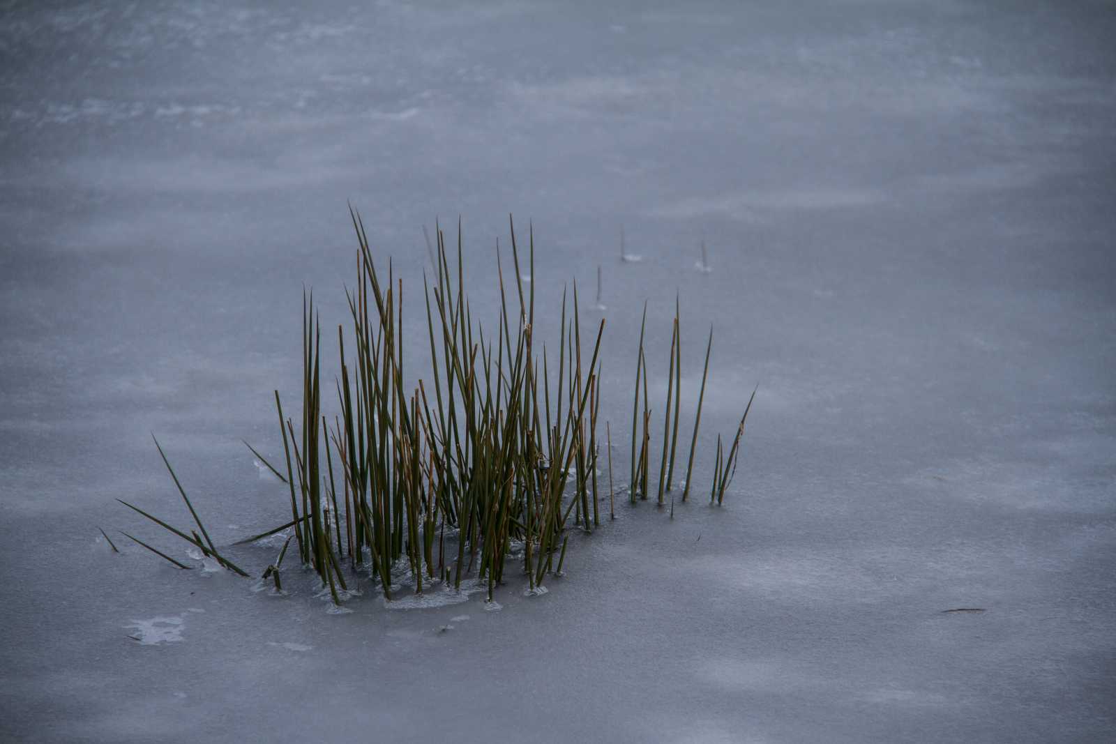 Zugefroren