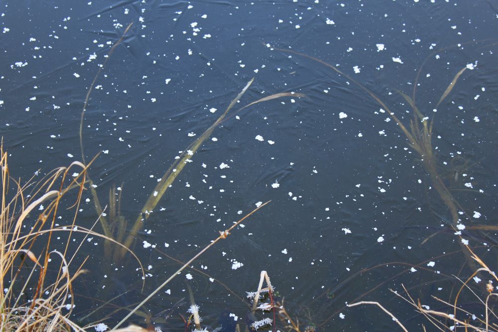  Zugefroren Foto & Bild landschaft, bach, fluss & see, see, teich