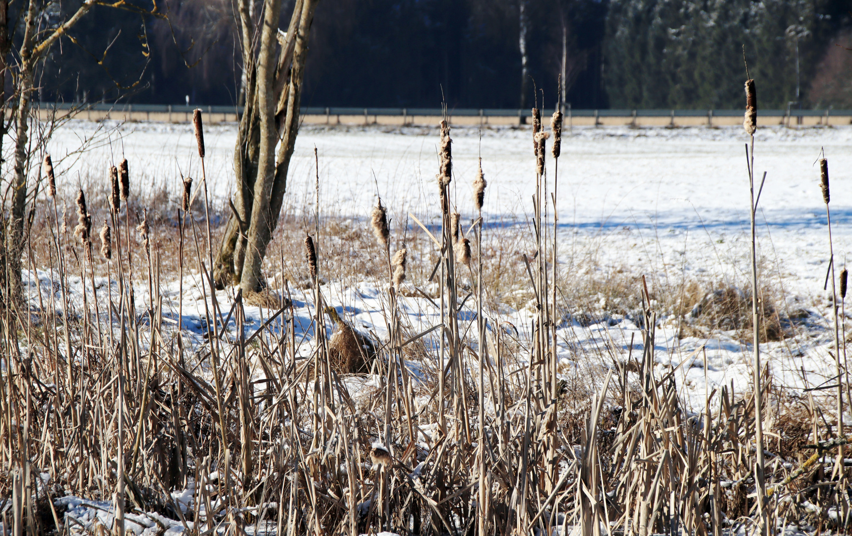 zugefroren