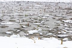 Zugefrorener Pfaffenteich in Schwerin