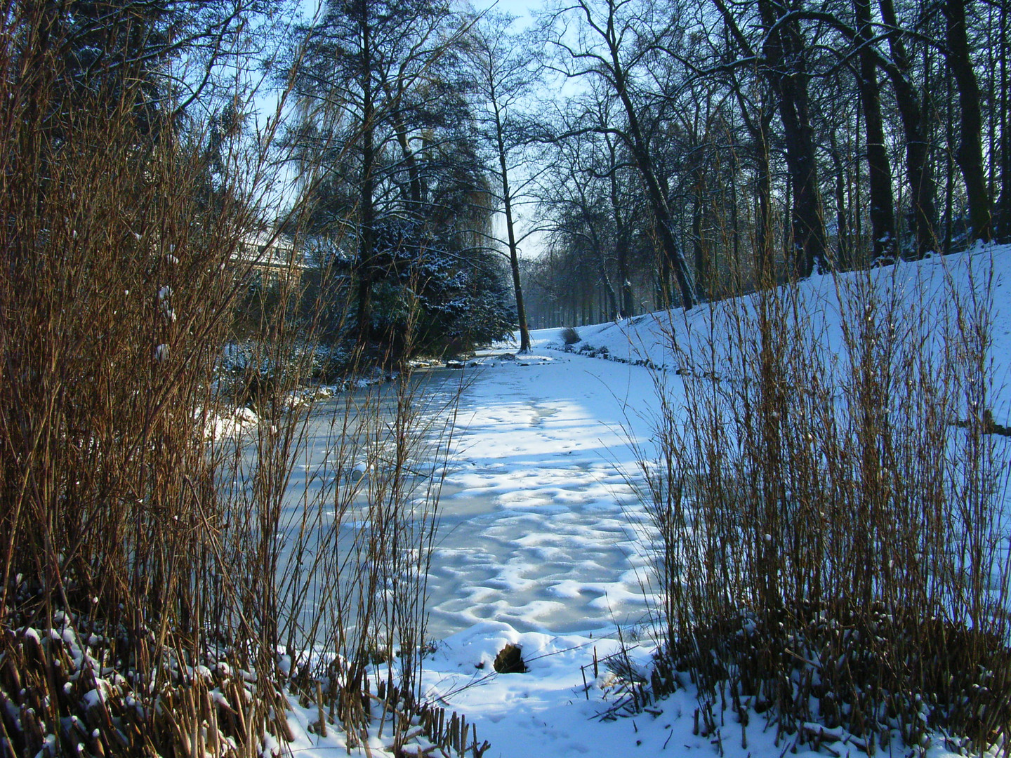 Zugefrorener Promenadengraben, Münster