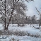 Zugefrorener See am Morgen