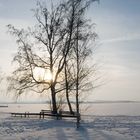 Zugefrorener See in Brandenburg