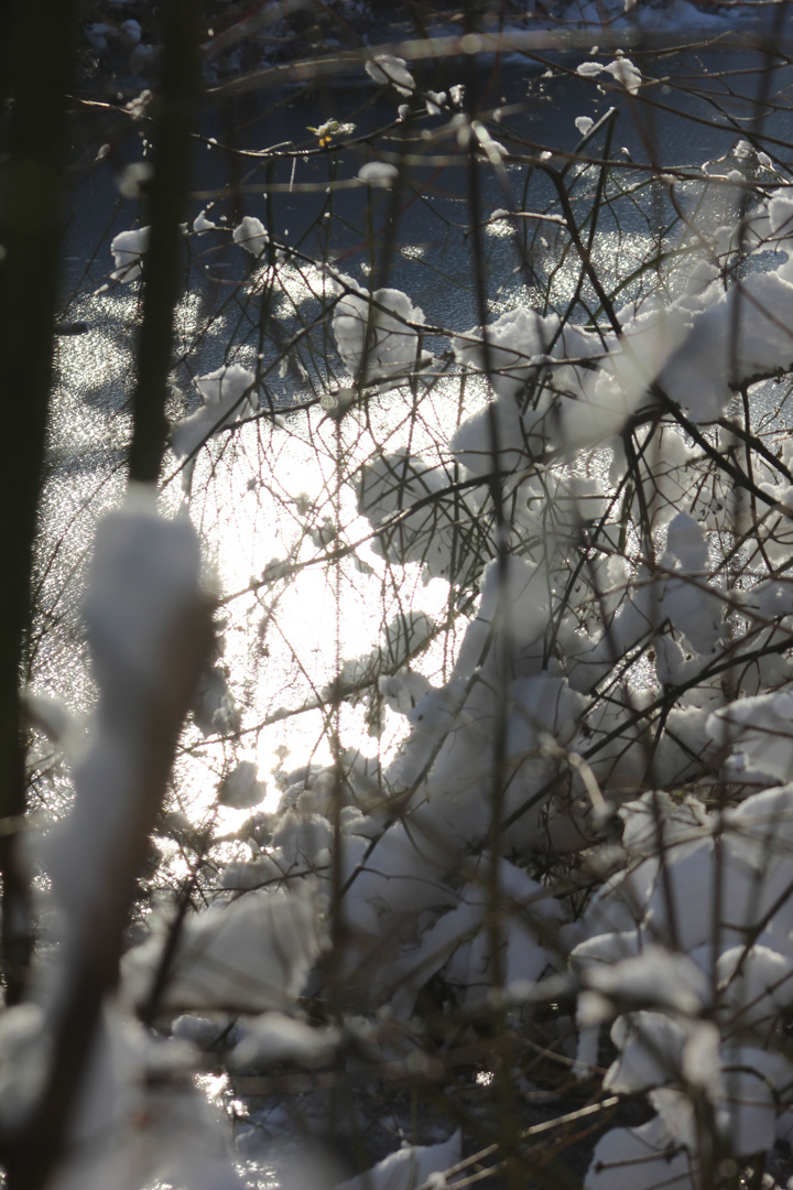 Zugefrorener See in Licht und Schatten