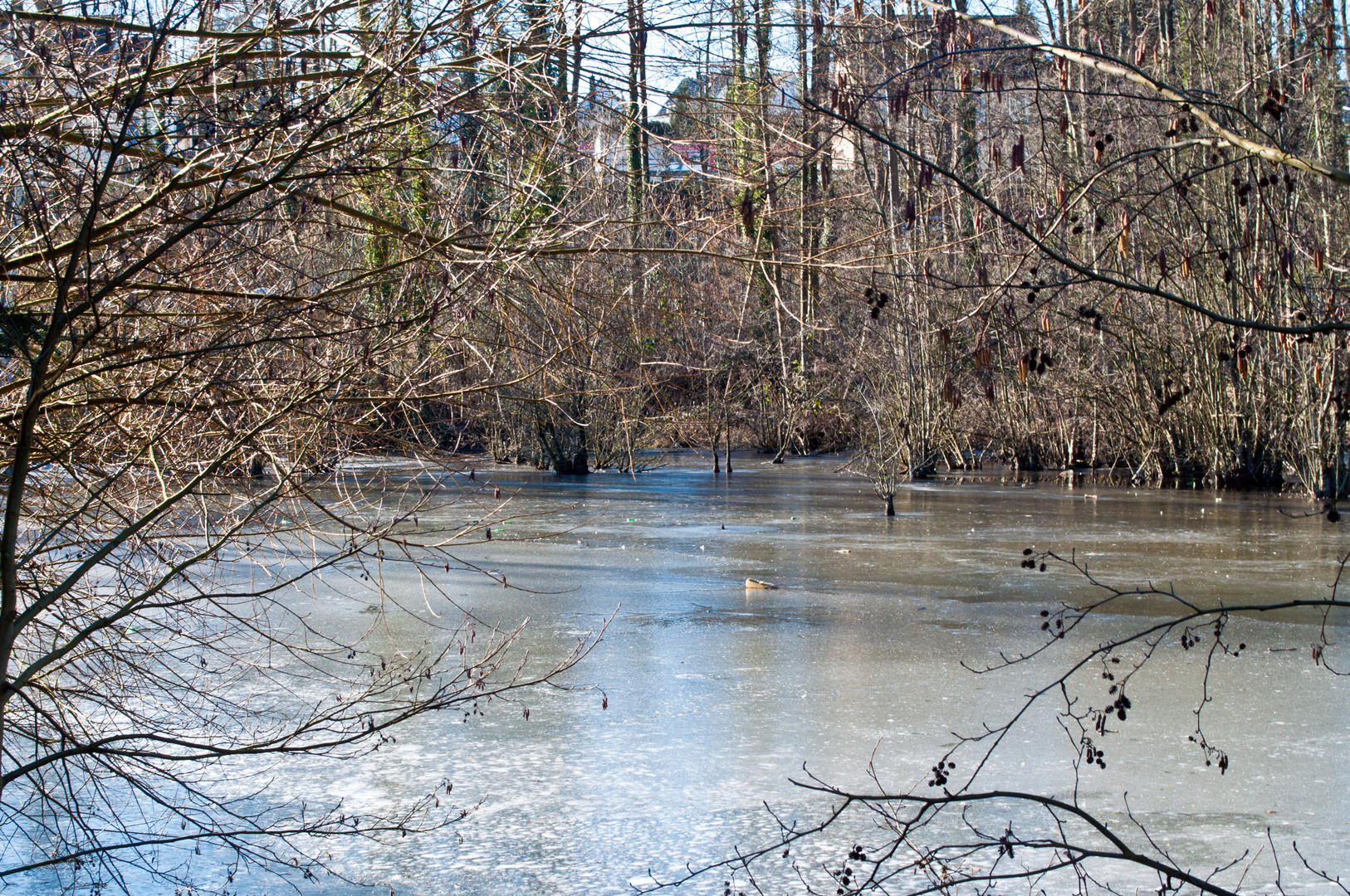 zugefrorener Teich bei Schloss Eulenbroich in Rösrath