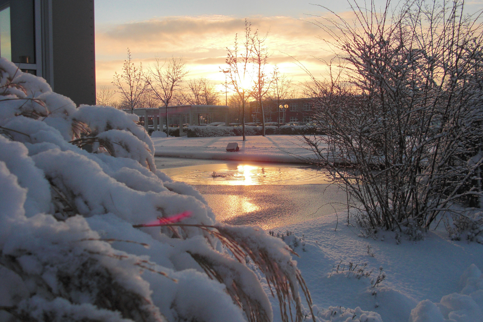 Zugefrorener Wassergraben in Morgensonne