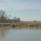 zugefrorener Weiher