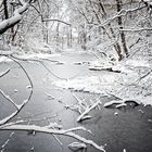 Zugefrorener Weiher 