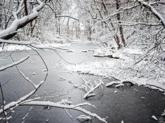 Zugefrorener Weiher 