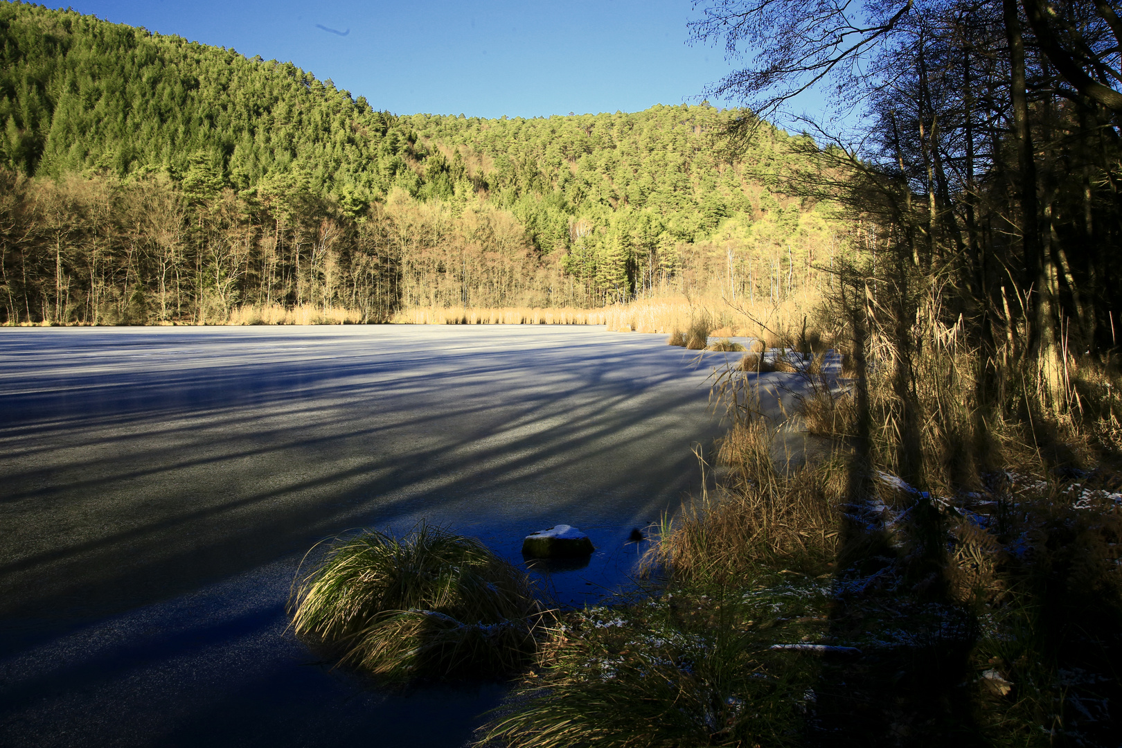 Zugefrorener Weiher bei Erlenbach/ Südwestpfalz III