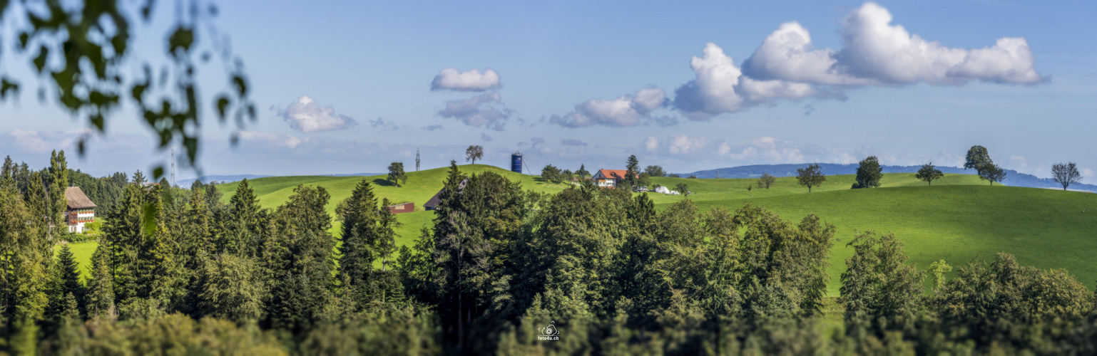 Zuger Hügellandschaft