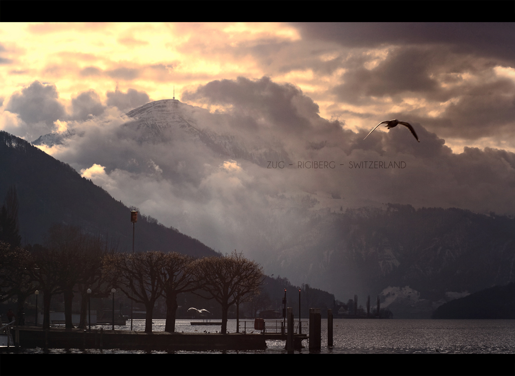 Zuger See - Blick Rigiberg