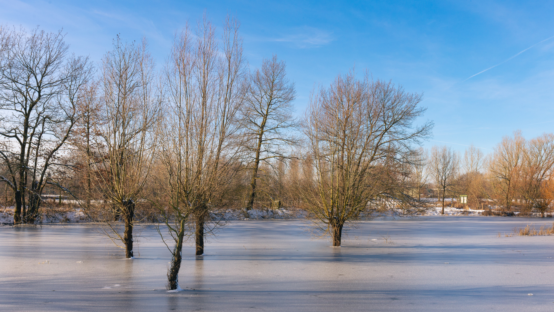 Zugerfrorenes Hochwasser