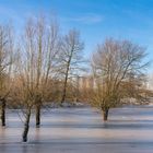 Zugerfrorenes Hochwasser