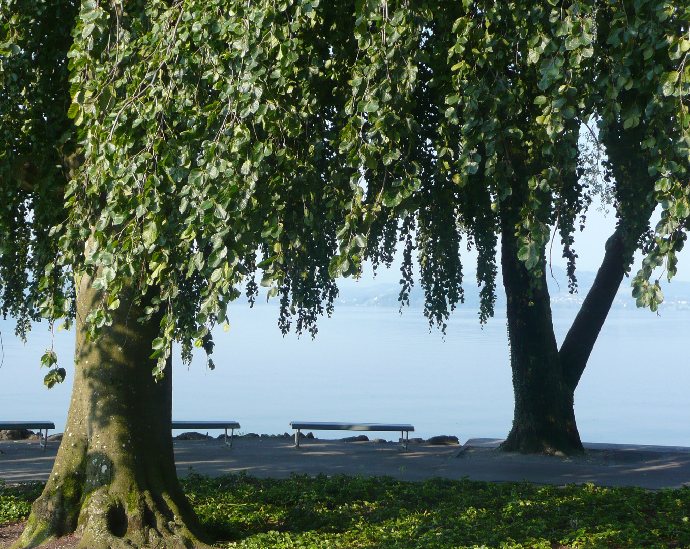 Zugersee