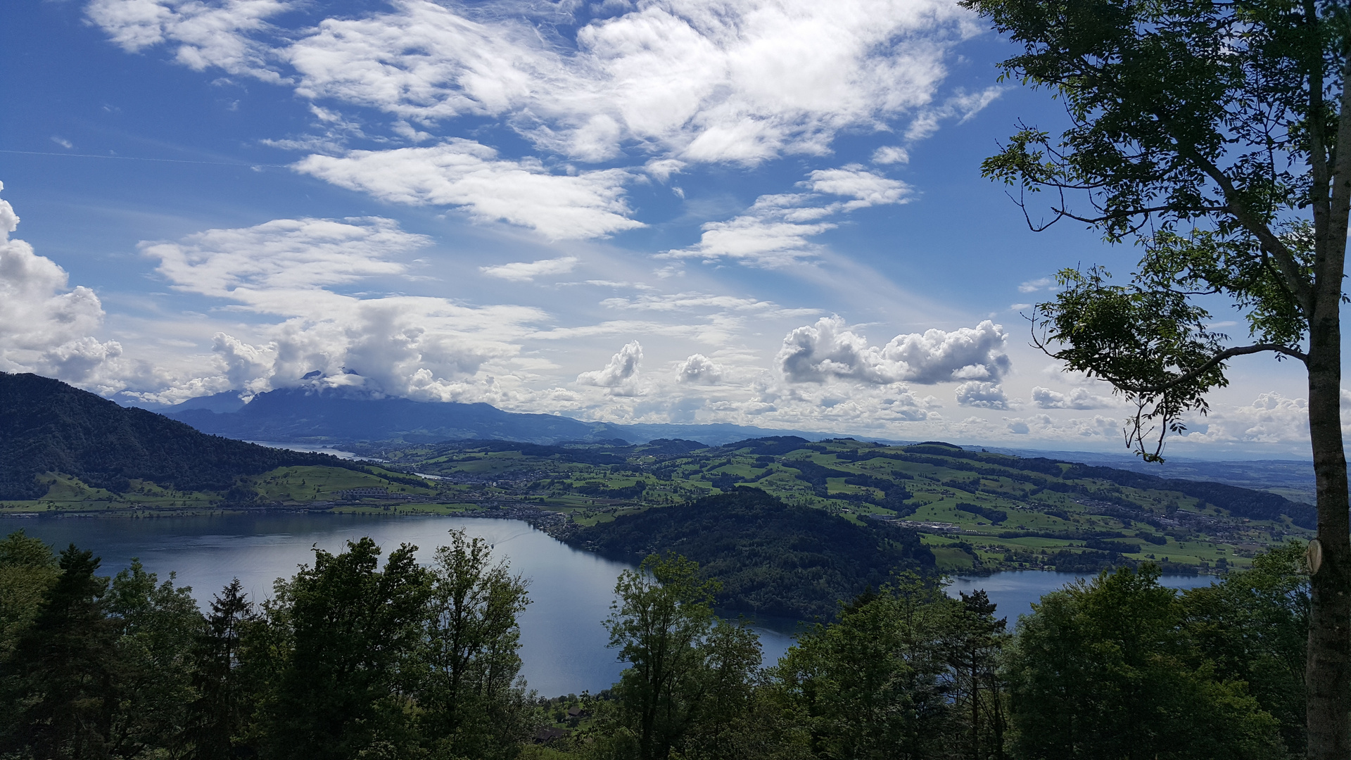 Zugersee