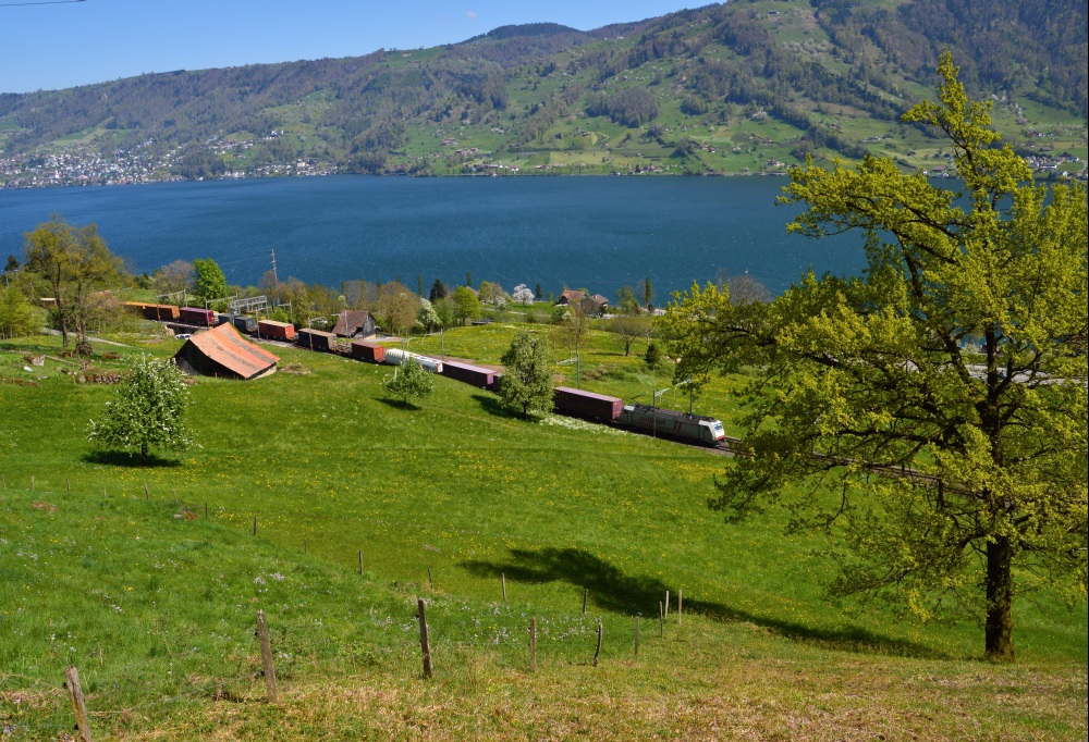 Zugersee