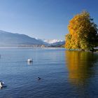 Zugersee im Morgenlicht