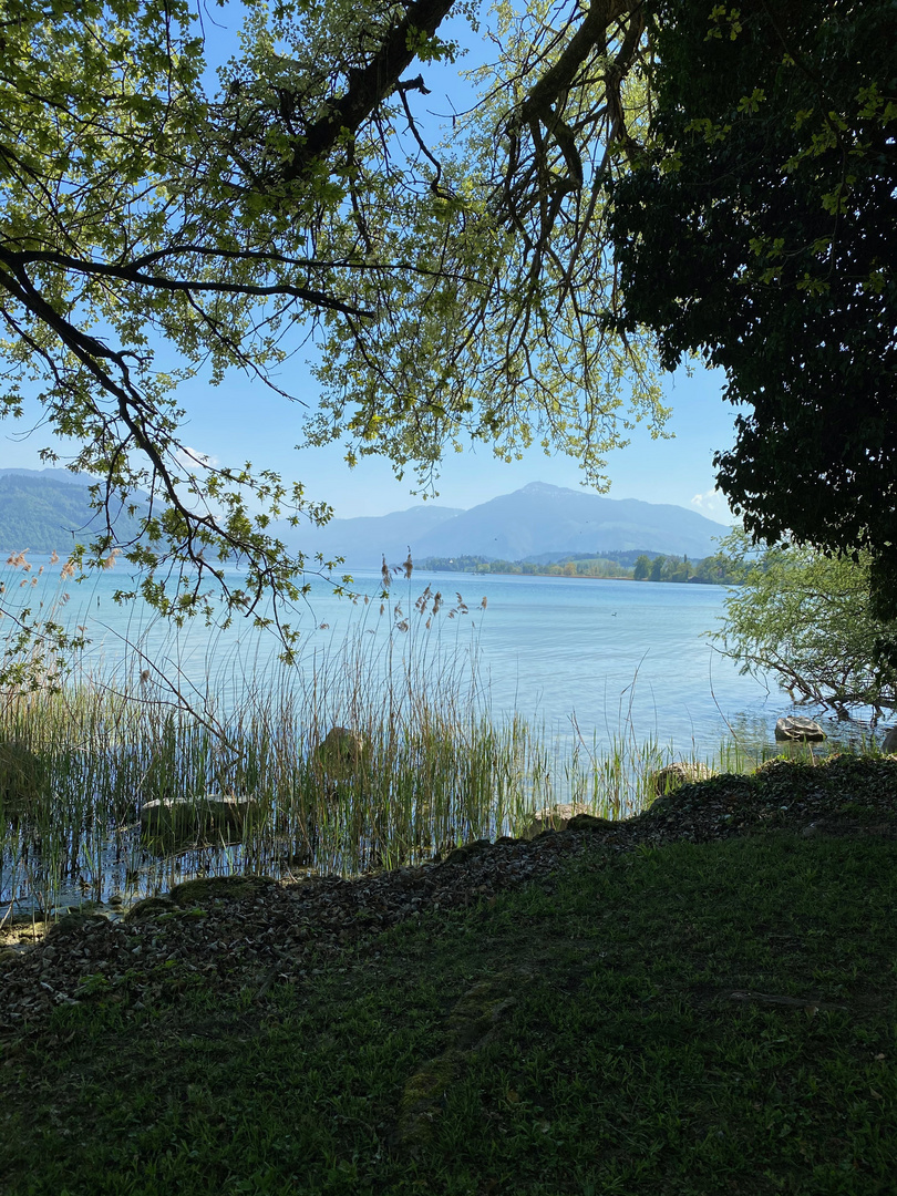 Zugersee mit Rigi