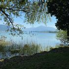 Zugersee mit Rigi