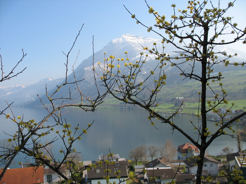 Zugersee und Rigi