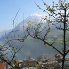 Zugersee und Rigi