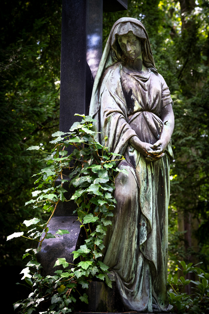 Zugewachsen - Köln - Melatenfriedhof 