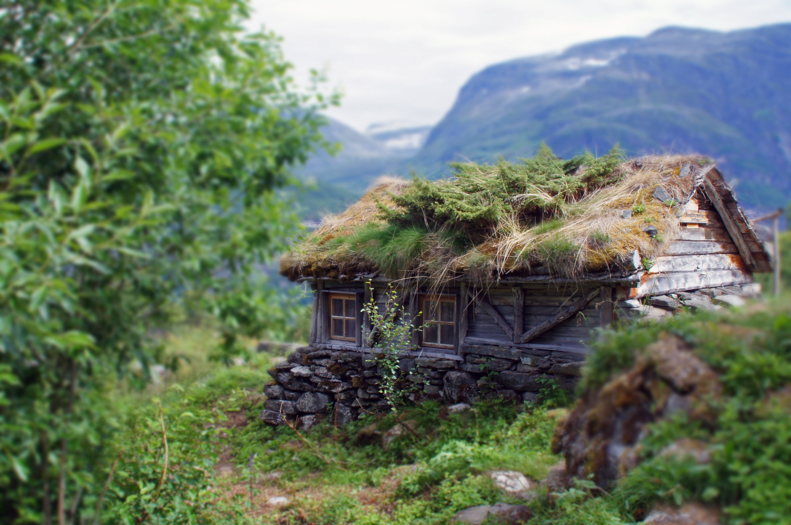 Zugewachsene Waldhütte im Wald und mit Bergen und viel Pflanzen