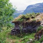 Zugewachsene Waldhütte im Wald und mit Bergen und viel Pflanzen