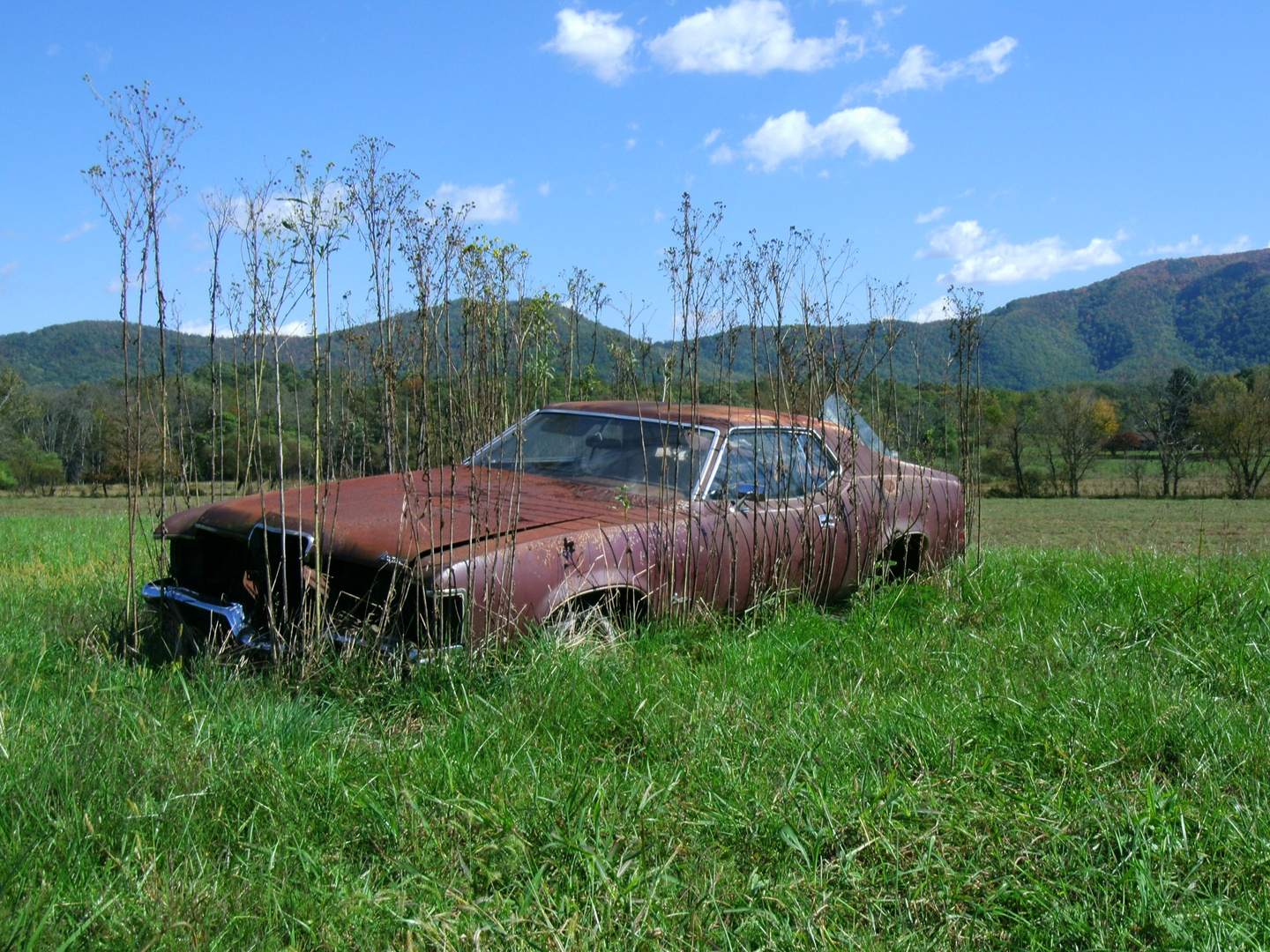 Zugewachsenes Mercury-Coupe in Tennessee