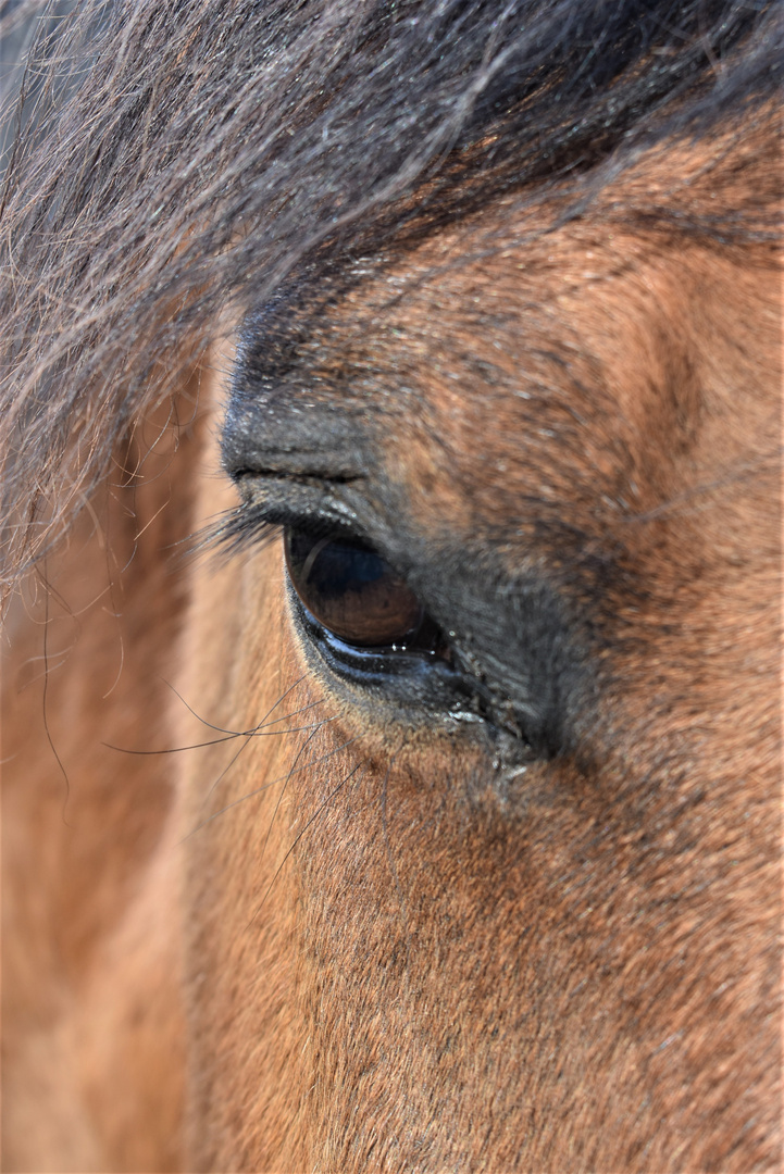 Zugewandt - Portrait