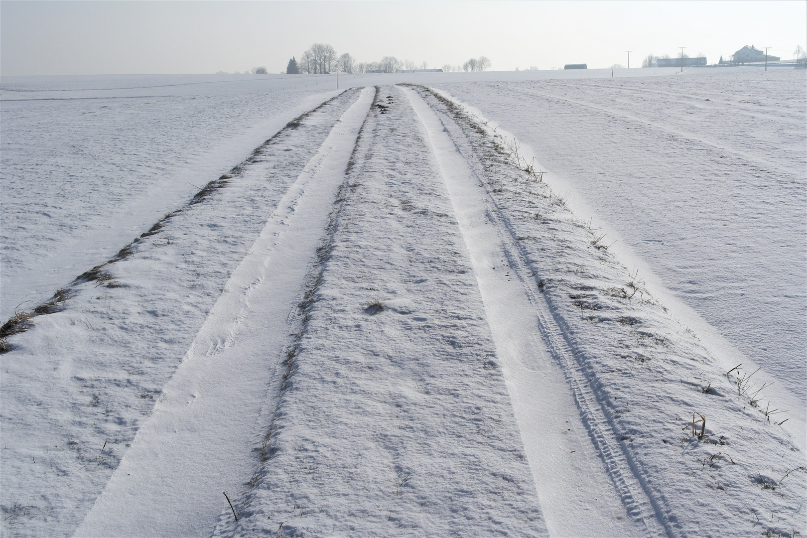 Zugewehte Fahrspur  Feldweg