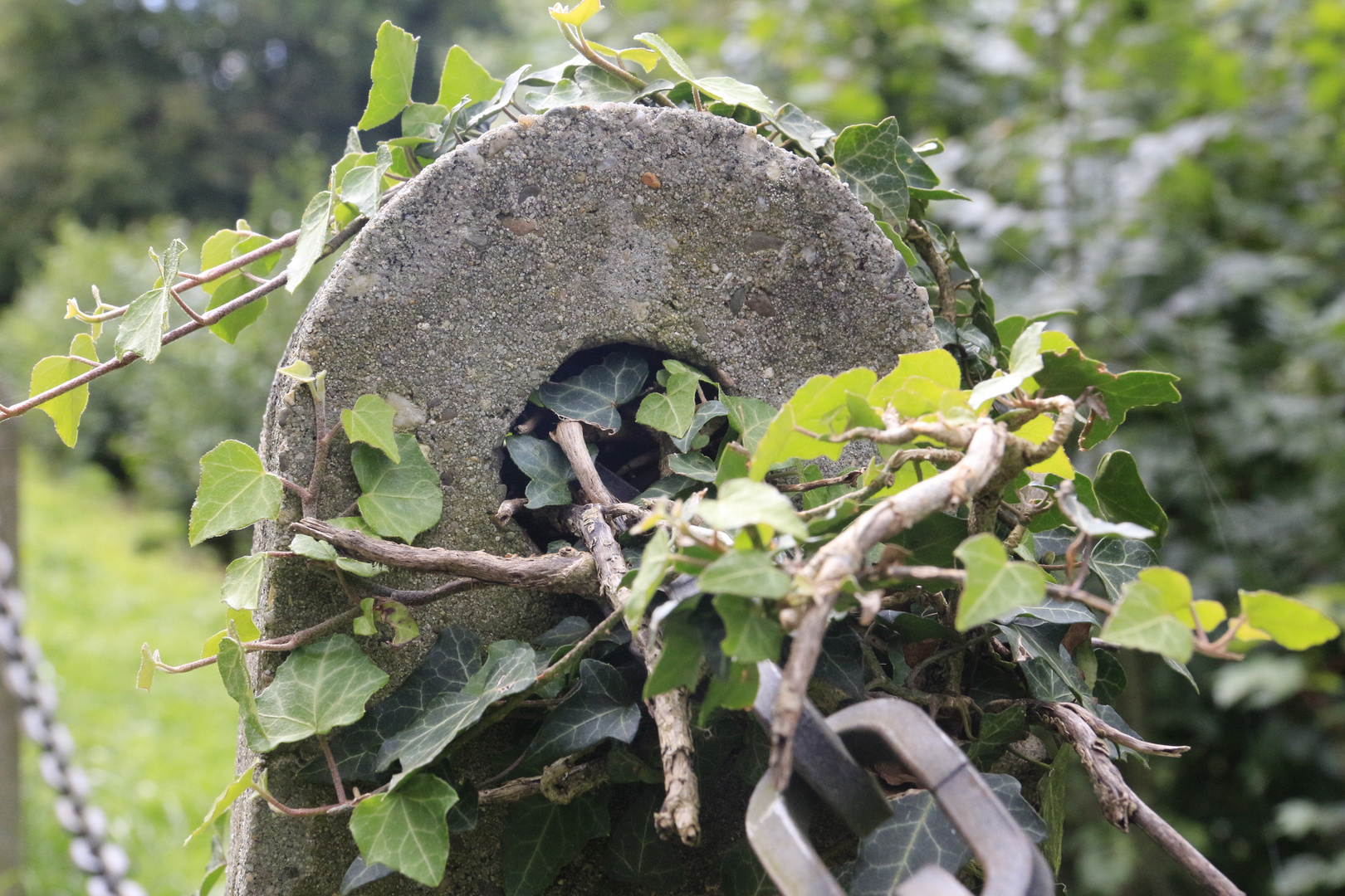 zugewucherter Steinpfosten im Bückeburger Schlosspark