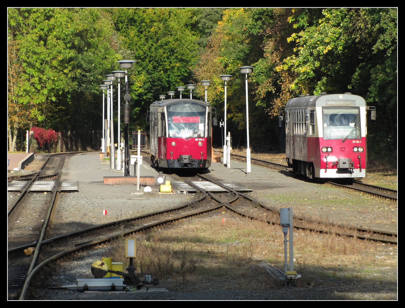 Zugkreuzung in Alexisbad