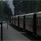 Zugkreuzung in Heiligendamm