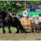 Zugleistung Bad Kötzting 2010 "Schwarzer Teufel"