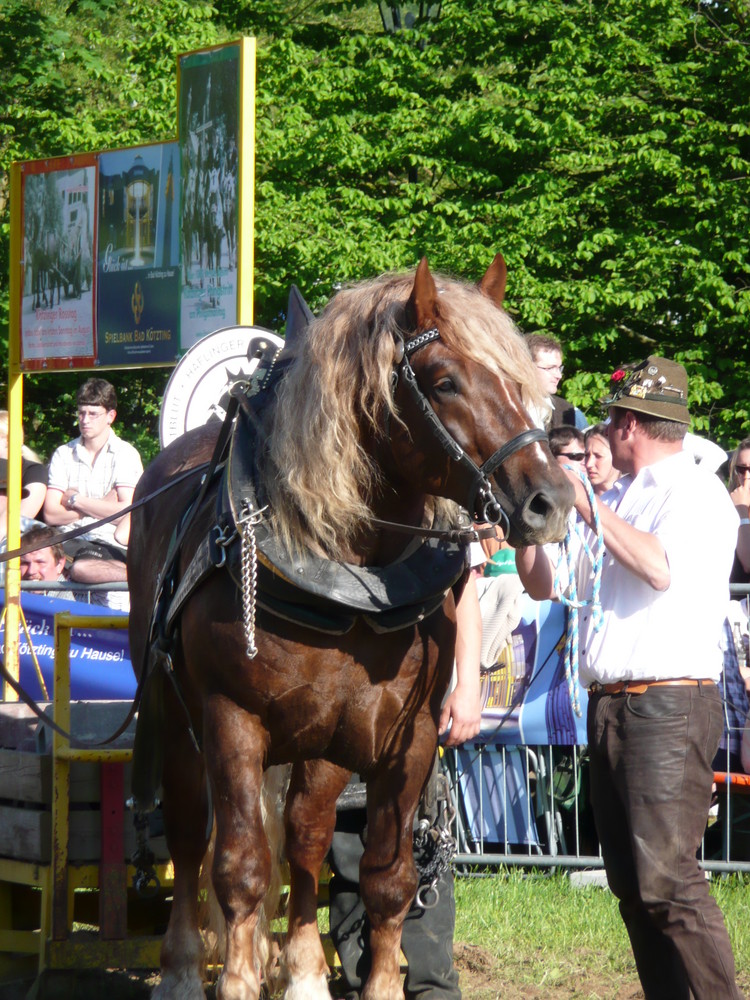 Zugleistungsprüfung Kötzting 2008