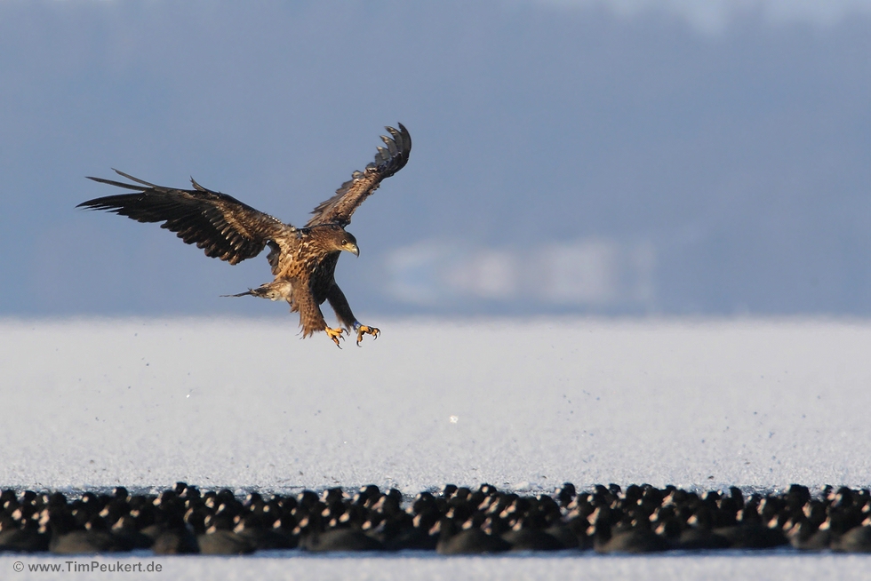 Zugriff bei minus 11 Grad