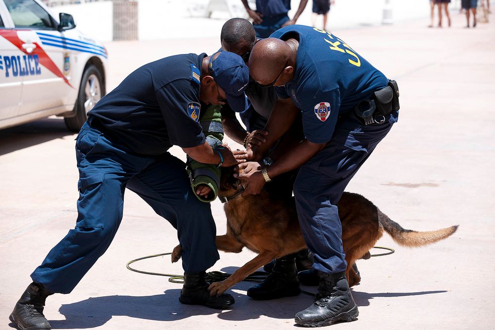 Zugriff K9 Unit, St.Maarten, Niederländische Antillen