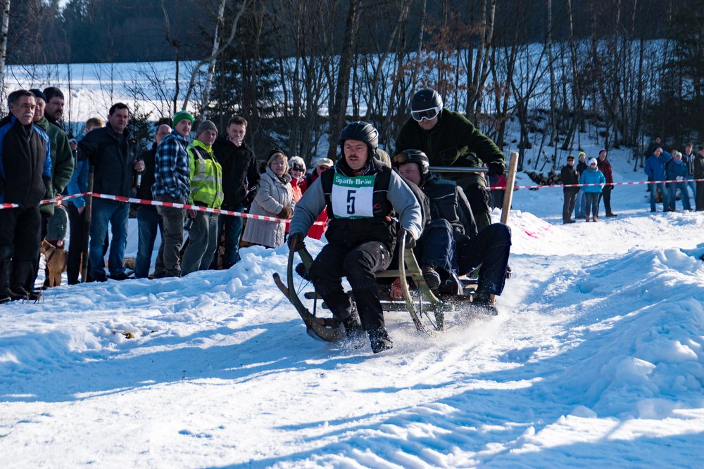 Zugschlittenrennen in Schwarzenbach bei Lohberg