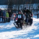 Zugschlittenrennen in Schwarzenbach bei Lohberg