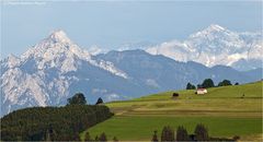 Zugspitzblick