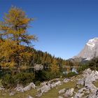 Zugspitzblick