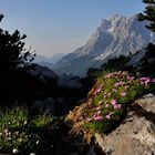 Zugspitzblick