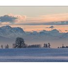 Zugspitzblick