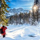 Zugspitzblick