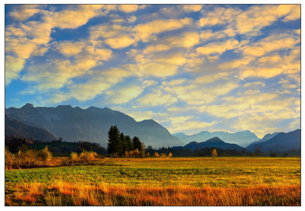 Zugspitzblick kurz vor Sonnenuntergang,aus dem Murnauer Moos