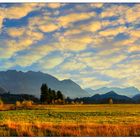 Zugspitzblick kurz vor Sonnenuntergang,aus dem Murnauer Moos