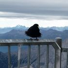 Zugspitze, 10 Uhr,  es ist windig. Aber die Frisur, die sitzt.