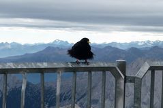 Zugspitze, 10 Uhr,  es ist windig. Aber die Frisur, die sitzt.